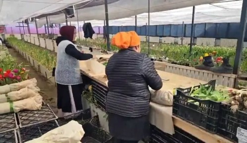 В Артеме Приморского края полицейские привлекли к ответственности мигрантов-нелегалов, незаконно осуществляющих трудовую деятельность