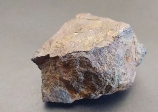 Метеорит со следами входа в атмосферу продают в Крыму — правда, весит он всего 124 грамма, почти как стандартная котлета