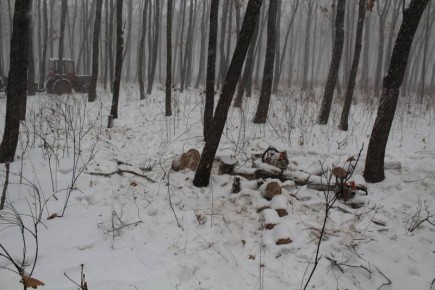 � ���������� ������ �������� ����������� ��������� �������������� � ���������� ����� ��������