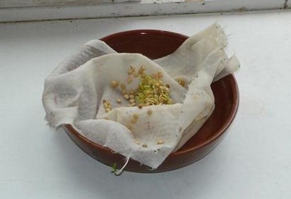 ������� �������� ������� ���������: ������ ��� ����������