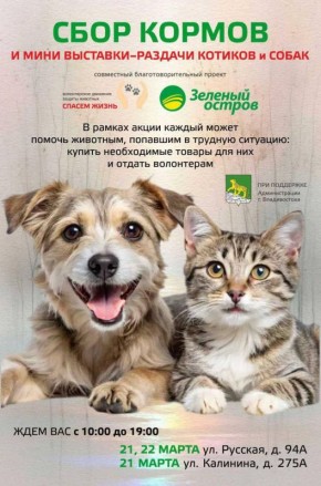 21 � 22 ����� �� ������������ ������� ����� ����������������� ����� - ���� ������ � ����-��������-������� ������� � �����