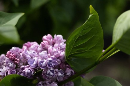 �� ������������ �������� ���������� ������