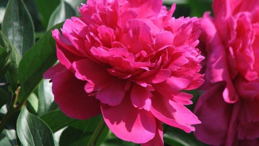 ������� ������� ������� ������ �� ����