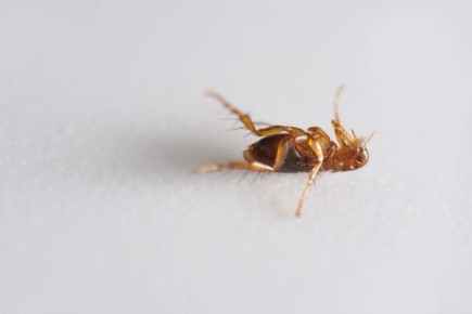 ����������� ������ ������ � �������: ��� ���������� �� ����������� ������ � ����� ����