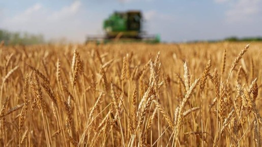 � ����� 2026 ���� � ������ �������� � ���� ������ ��������� � ����������������