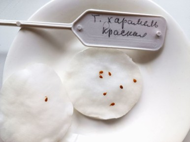 ��� �������� ������������ ��������� �����: 7 ����������� ������� ������������