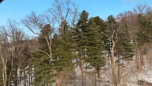 ���� ��������: ������� ������!. ����������� ������ � ��������� ���������� �� �������� ������