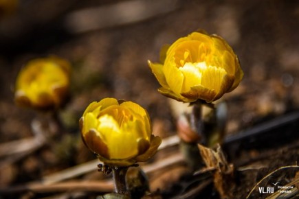 ��������� ������� � ��������� ����������� ��������� � ��������