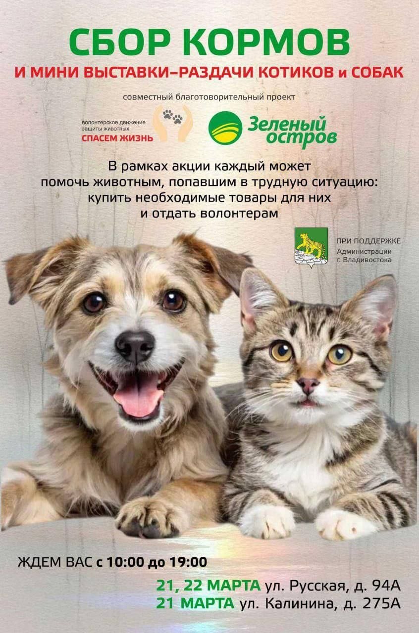 Напоминаем, что уже в эти выходные во Владивостоке пройдет сбор кормов и мини-выставки-раздачи котиков и собак