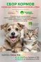Напоминаем, что уже в эти выходные во Владивостоке пройдет сбор кормов и мини-выставки-раздачи котиков и собак