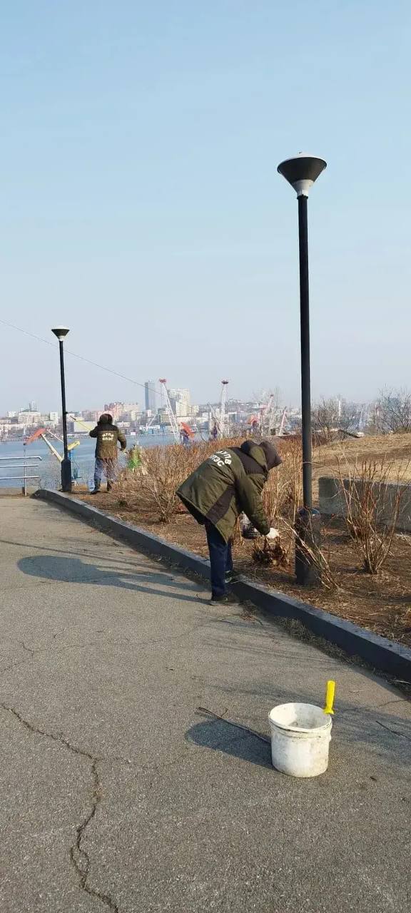 Специалисты «Владсвета» начали акции чистоты Специалисты «Владсвета» начали акции чистоты