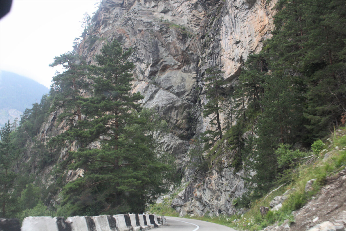 Очарование озера Форелевого: флора и фауна живописного уголка Теберды