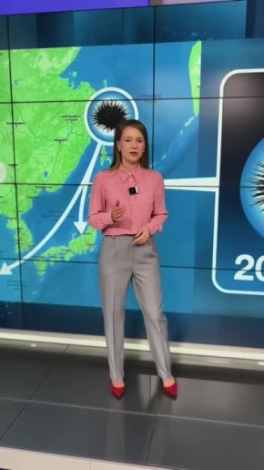 �������� ������ � 8:00 �� "������ 1" � � 15:00 �� "������ 24" ��������� "�����: ������� ������"