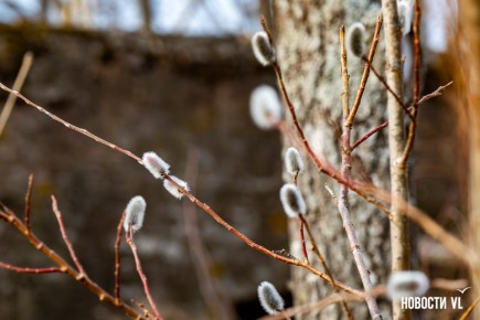 ������ ����! ������� �� ������������ ���������� ����������, ��� �������