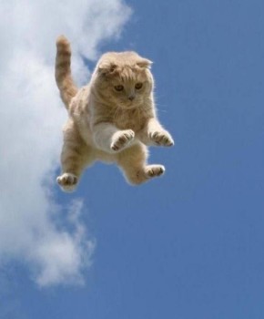 Интересная новость уходящей недели