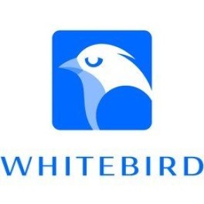 Когда начинать новогодние покупки: сохраняем деньги и нервы