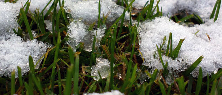 Как изменить погоду на своем огороде: весна под контролем