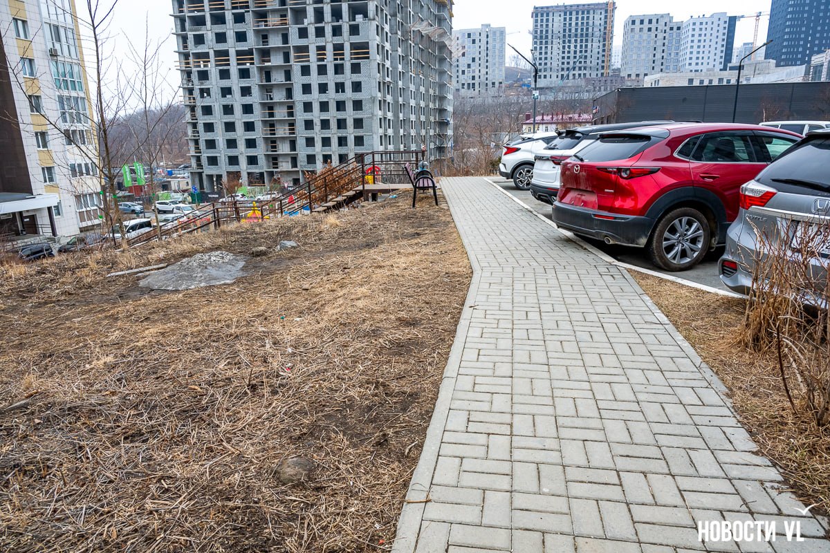 Жители Патрокла вышли на защиту аллеи и скверов, которые могут пострадать при прокладке электрокабеля к новостройке Жители Патрокла вышли на защиту аллеи и скверов, которые могут пострадать при прокладке электрокабеля к новостройке