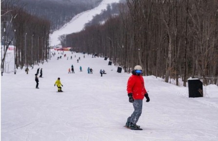 � �������� ���������� �������� ����� �� ����������� ������� ���������