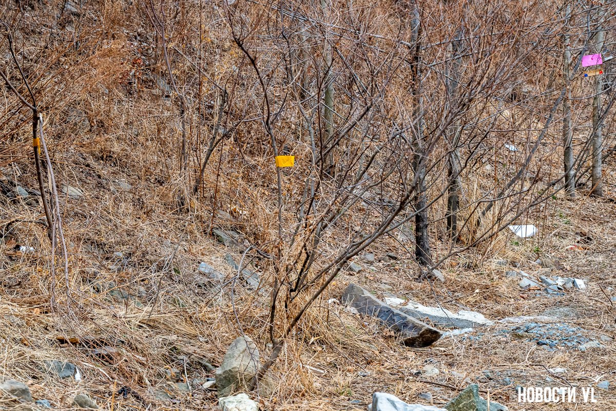 Жители Патрокла вышли на защиту аллеи и скверов, которые могут пострадать при прокладке электрокабеля к новостройке Жители Патрокла вышли на защиту аллеи и скверов, которые могут пострадать при прокладке электрокабеля к новостройке