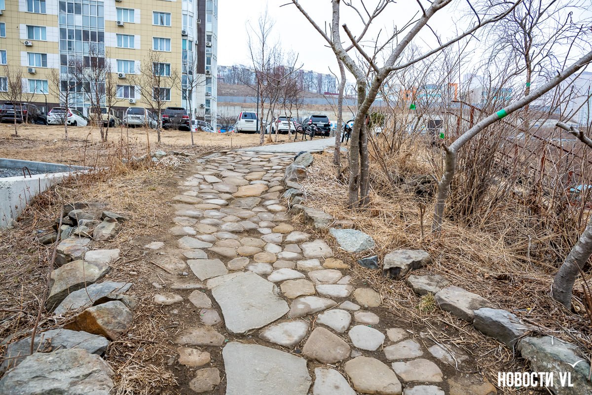 Жители Патрокла вышли на защиту аллеи и скверов, которые могут пострадать при прокладке электрокабеля к новостройке Жители Патрокла вышли на защиту аллеи и скверов, которые могут пострадать при прокладке электрокабеля к новостройке