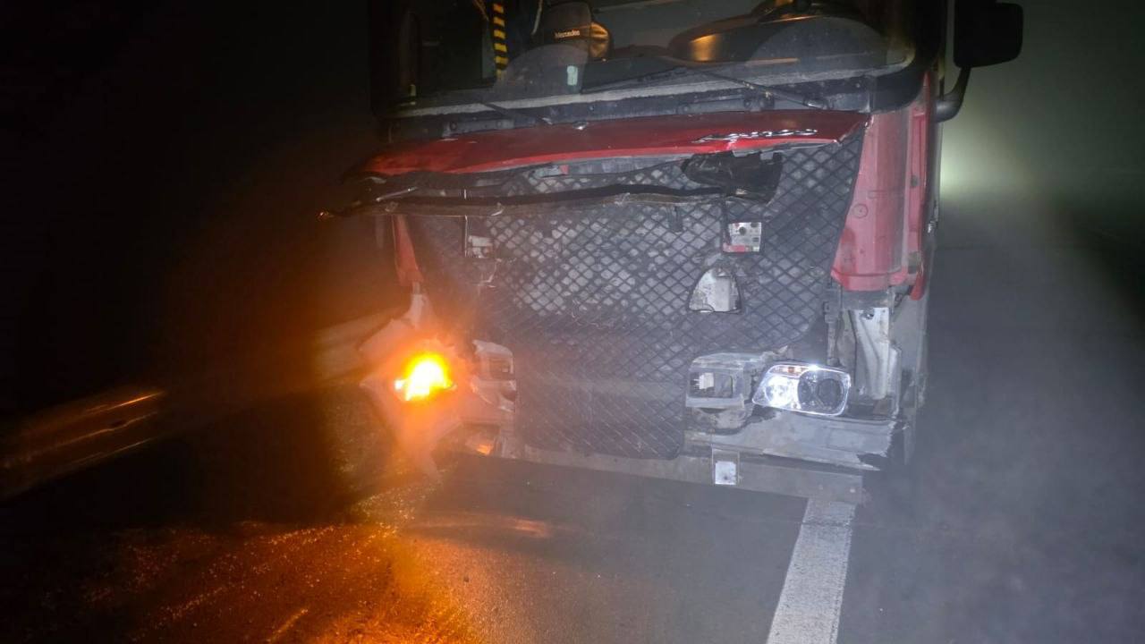 В Приморье сотрудники Госавтоинспекции установили обстоятельства наезда большегруза на стадо коров