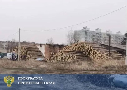 ����������� ������ �������� ����� ������ 11-������� ������� �� �������������������� ����������� � ���������