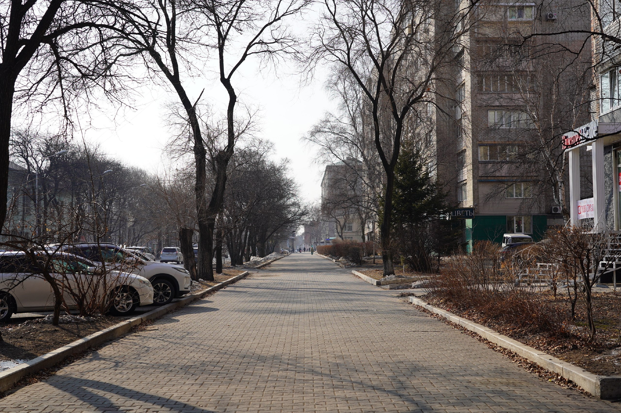 Доброе утро, Уссурийск!. Сегодня 23 марта отмечают Всемирный метеорологический день — праздник, который напоминает, как много в нашей жизни значит погода и умение её предвидеть