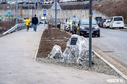 Жители Патрокла вышли на защиту аллеи и скверов, которые могут пострадать при прокладке электрокабеля к новостройке