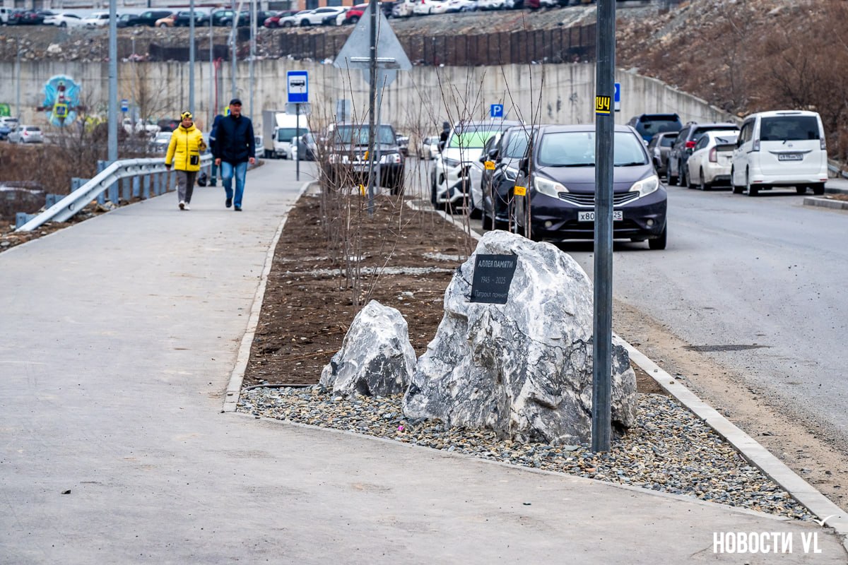 Жители Патрокла вышли на защиту аллеи и скверов, которые могут пострадать при прокладке электрокабеля к новостройке
