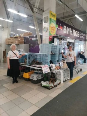 ����� ������ �������� �� ������������