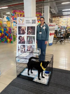 ���� ������� � ��� ����� ����� ����� ��� � ����� ������ �������� �� ������������