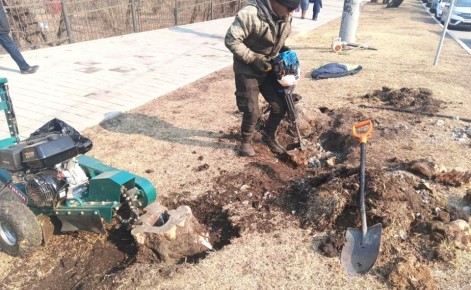 ������� � ���������� �������� � ������� ����� ������� ������ ��������