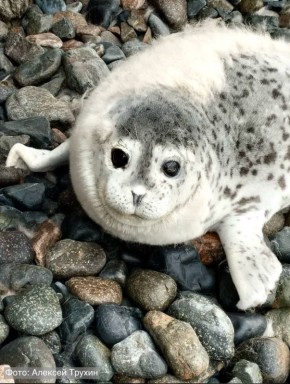 � ��������������� ������� ���������� ����������� ������� ����� ������ �������� ���� � �� ���� ��������� ����� 1000 �������� ��������� �����