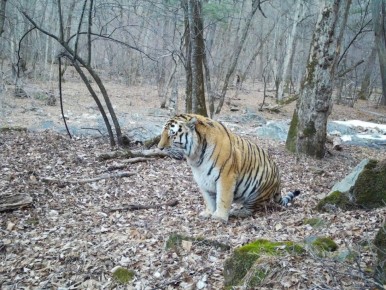 �� �������, � ������ ���������