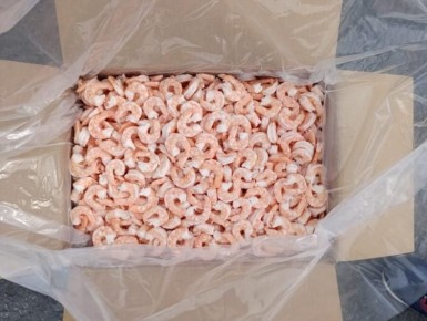 � ���������� ���� �������������� �������� ������� ������ ��������� �������� ����� ����� 28,8 �����