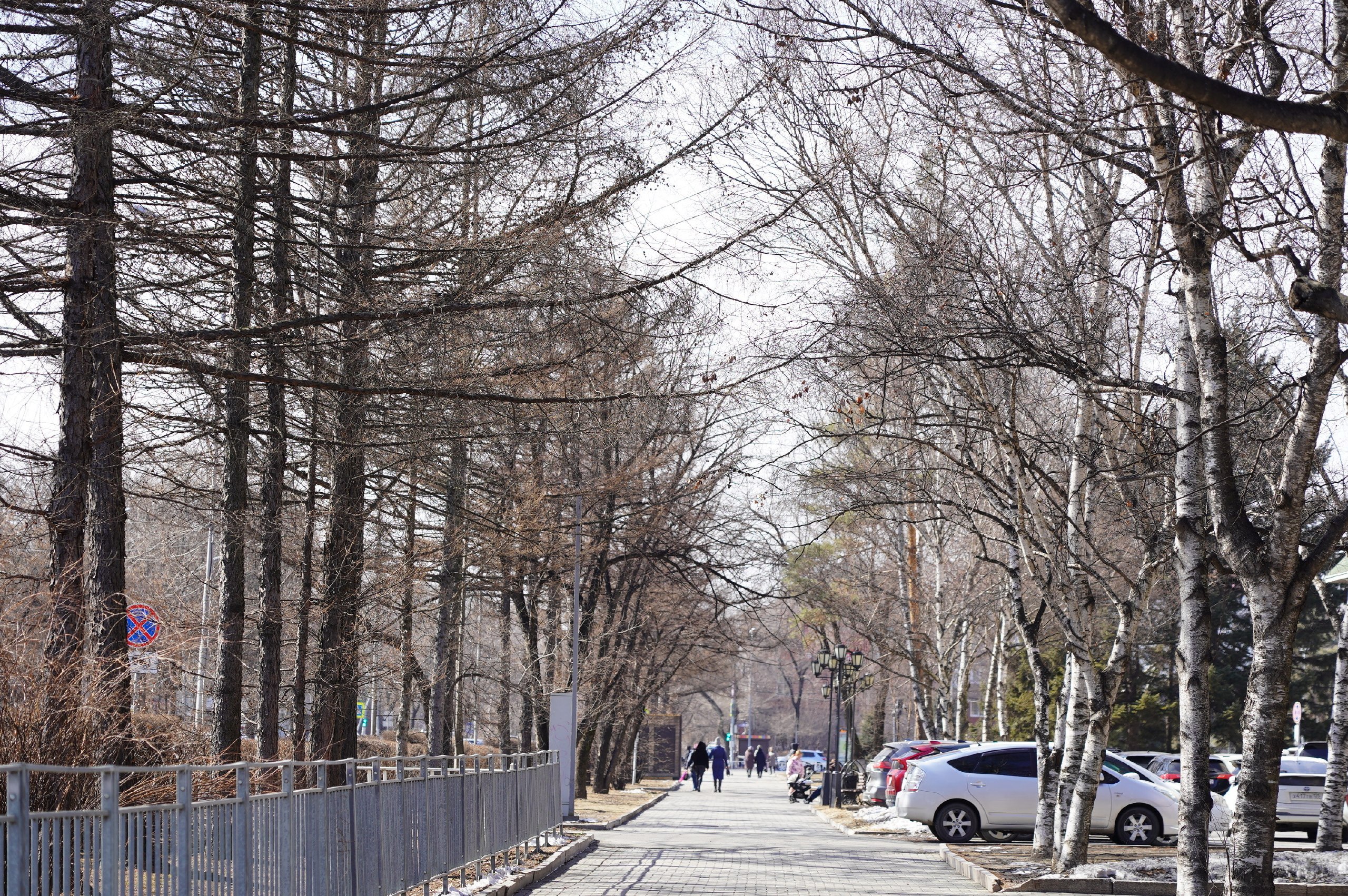 Доброе утро, Уссурийск!. Сегодня 26 марта отмечают Международный день одиночества