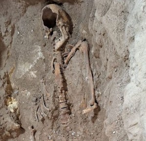 ������� ����������, ����������������, ����� � �����������