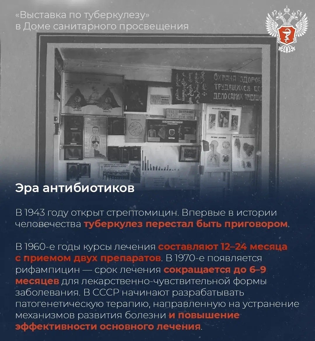 Как туберкулез в России перестал быть смертельным заболеванием Как туберкулез в России перестал быть смертельным заболеванием