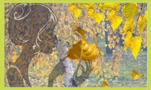 Почему жареная еда мешает вашим усилиям по снижению веса