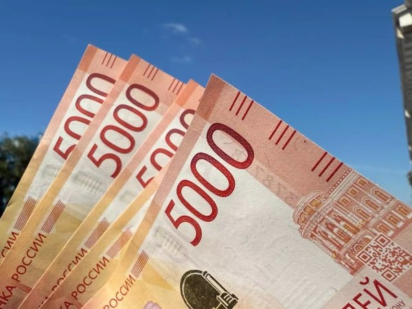 Коммерческие и управленческие расходы бизнеса ДФО за год выросли на 10,3%