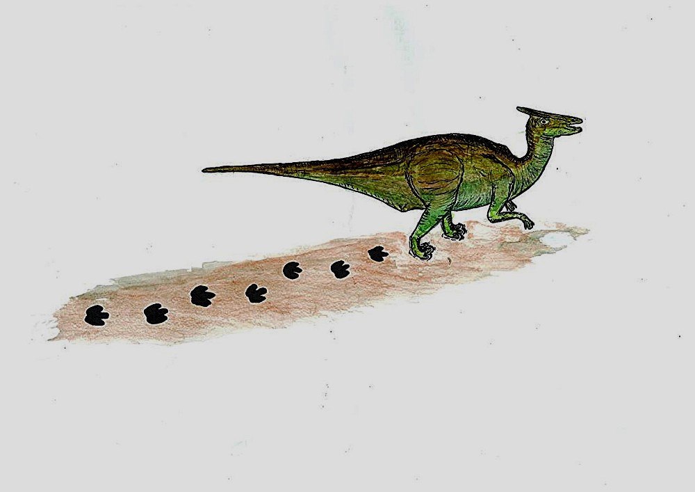 Рептилоид, человек-дракон и «ктулху» — АиФ о необычных археологических находках Рептилоид, человек-дракон и «ктулху» — АиФ о необычных археологических находках