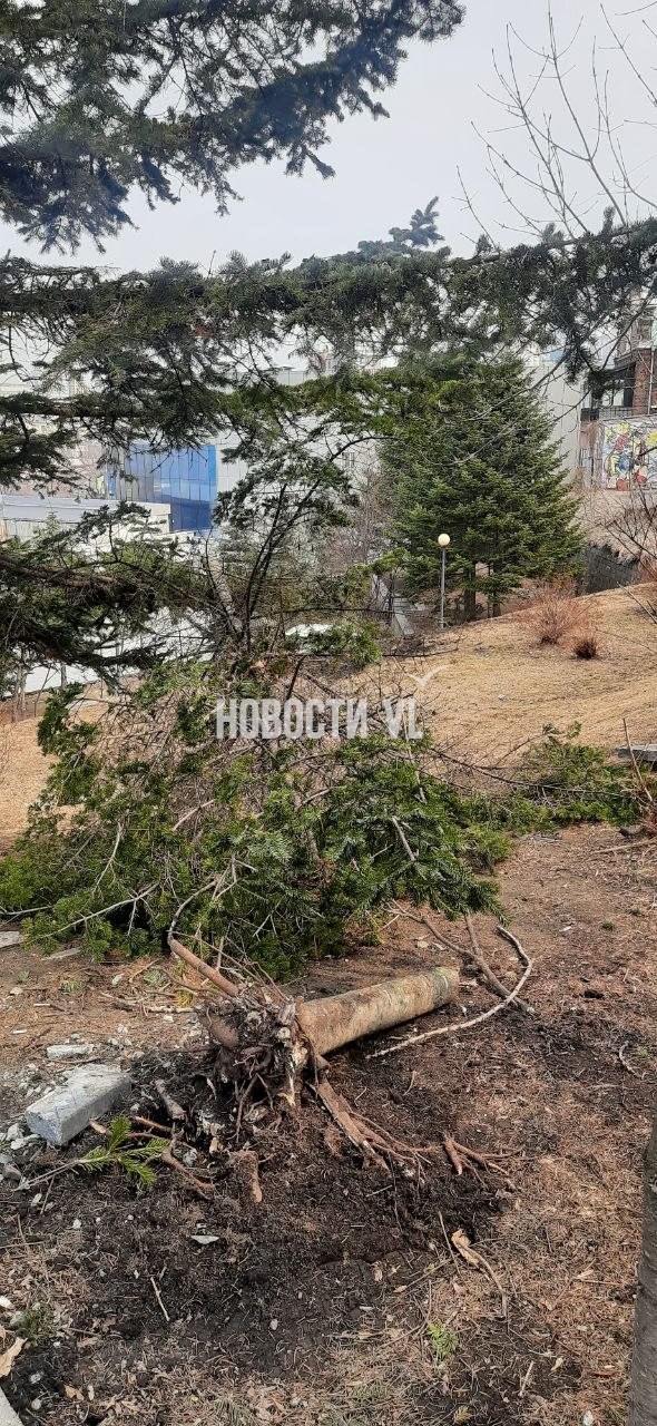 Оказалось, что ДТП на Тигровой произошло ночью Оказалось, что ДТП на Тигровой произошло ночью