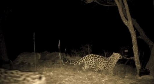 ������-�������� ���������� ����� �������� �������� ����� ������� � ��������