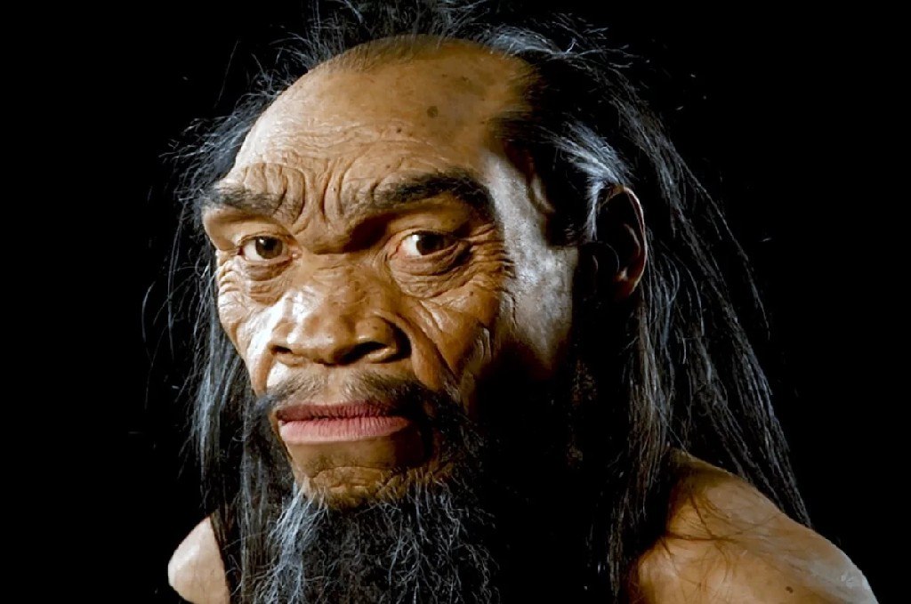 Рептилоид, человек-дракон и «ктулху» — АиФ о необычных археологических находках Рептилоид, человек-дракон и «ктулху» — АиФ о необычных археологических находках