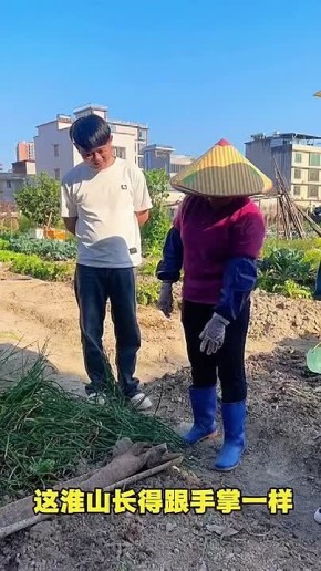 ������� ������� ������-����