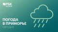 Сегодня в Приморье местами пройдут небольшие и умеренные осадки преимущественно в виде дождя