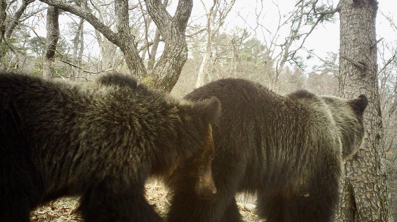 Доброе утро, Приморье!. В последние выходные марта в некоторых районах края температура приблизится к летним значениям Доброе утро, Приморье!. В последние выходные марта в некоторых районах края температура приблизится к летним значениям