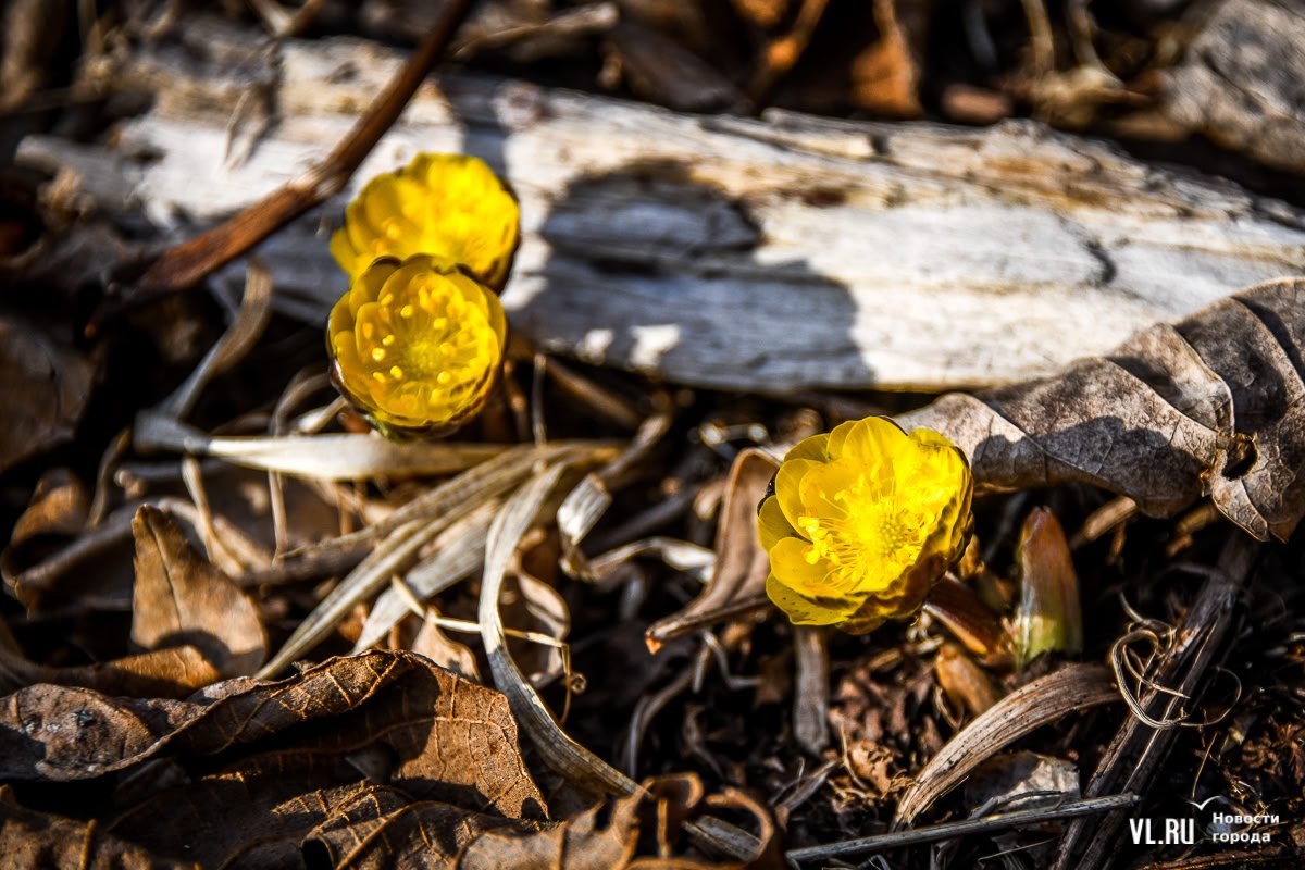 Доброе утро! Сегодня суббота, 28 марта