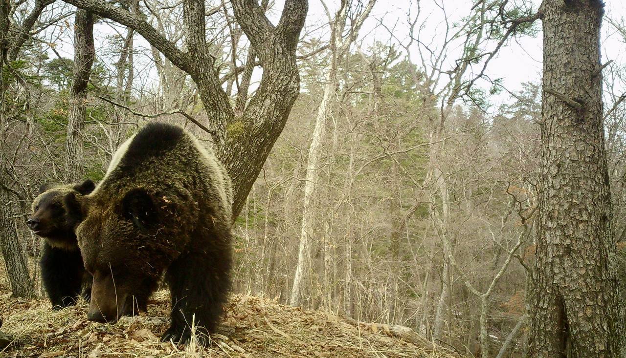 Доброе утро, Приморье!. В последние выходные марта в некоторых районах края температура приблизится к летним значениям Доброе утро, Приморье!. В последние выходные марта в некоторых районах края температура приблизится к летним значениям